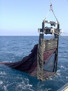 다층 Plankton net (MOCNESS) 사진